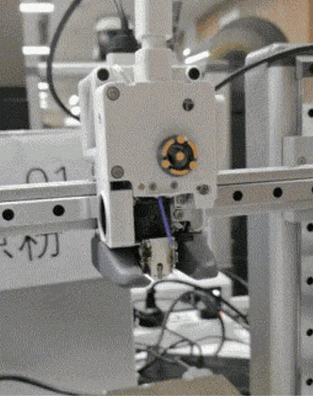 镊子_1.gif